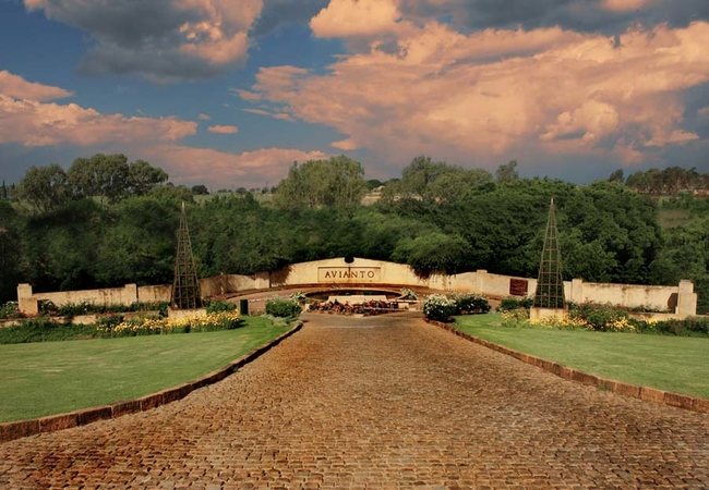 Avianto entrance